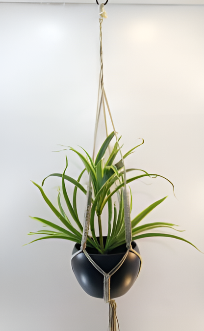 Iron Hanging Pot with Jute Rope