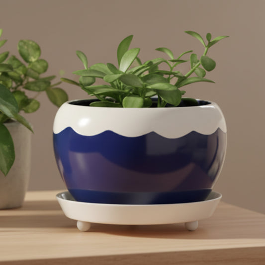 Round Glossy Metal Planter with Tray – Multicolor