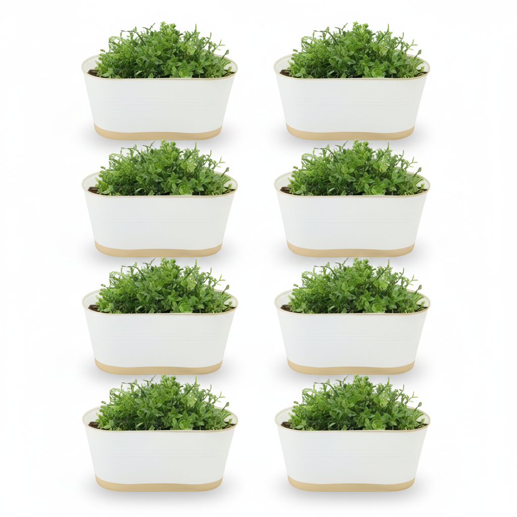 Nine small white pots with gold bases containing green plants on a white background