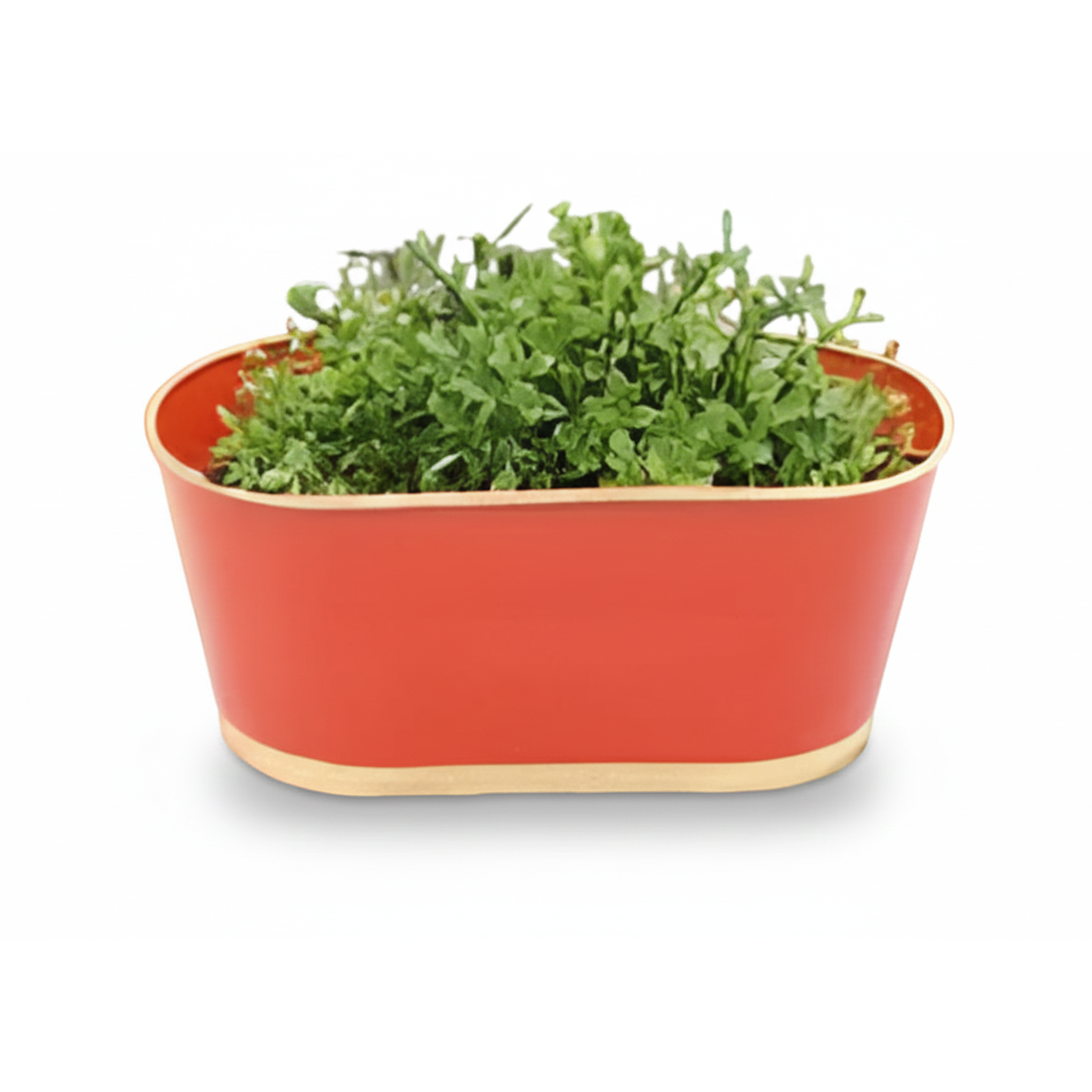 Iron Oval Hanging Pot