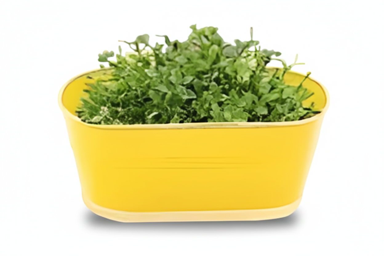 Iron Oval Hanging Pot