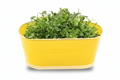 Iron Oval Hanging Pot
