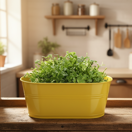 Iron Oval Hanging Pot