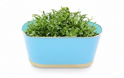 Iron Oval Hanging Pot
