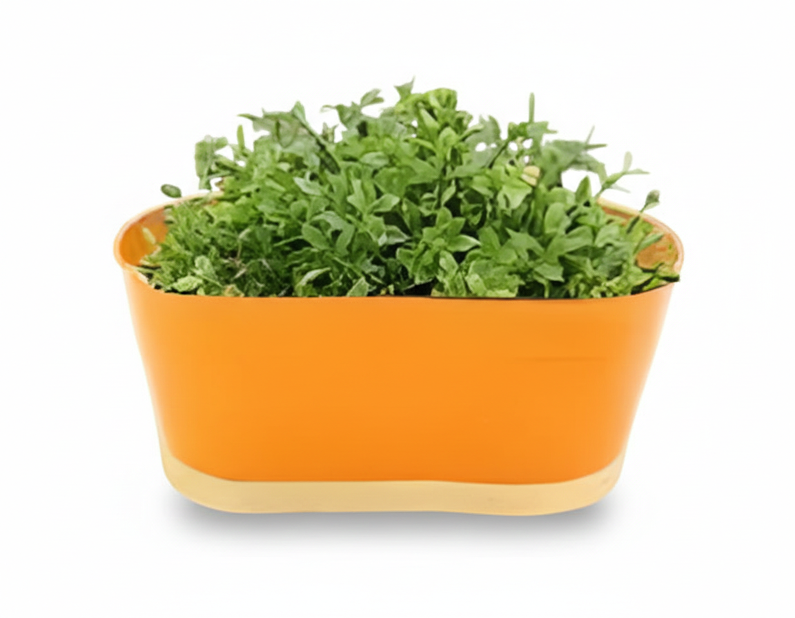 Iron Oval Hanging Pot