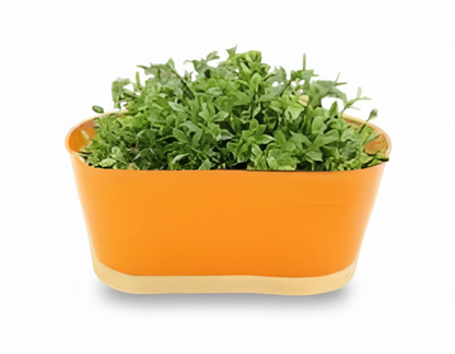 Iron Oval Hanging Pot