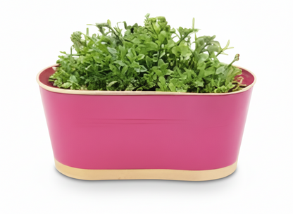 Iron Oval Hanging Pot