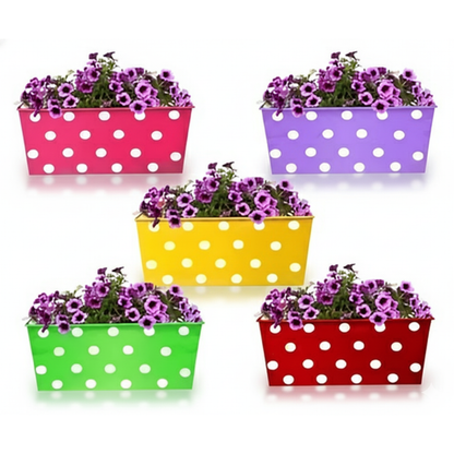 Five polka dot flower pots with purple flowers on a white background