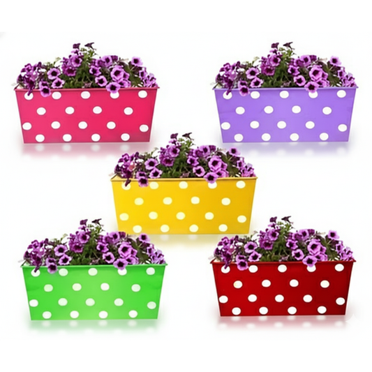 Five polka dot flower pots with purple flowers on a white background