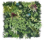 Blush Spirit Vertical Garden 100cmx100cm