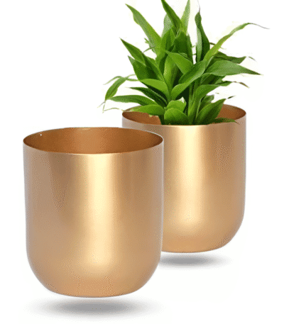 Classic Metal Pot – Gold, Black, Copper & Dual Finish
