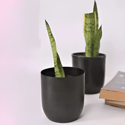 Classic Metal Pot – Gold, Black, Copper & Dual Finish