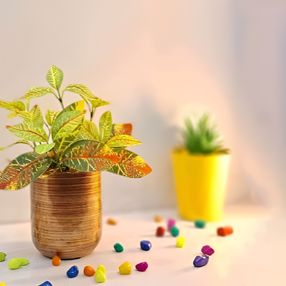 Classic Metal Pot – Gold, Black, Copper & Dual Finish