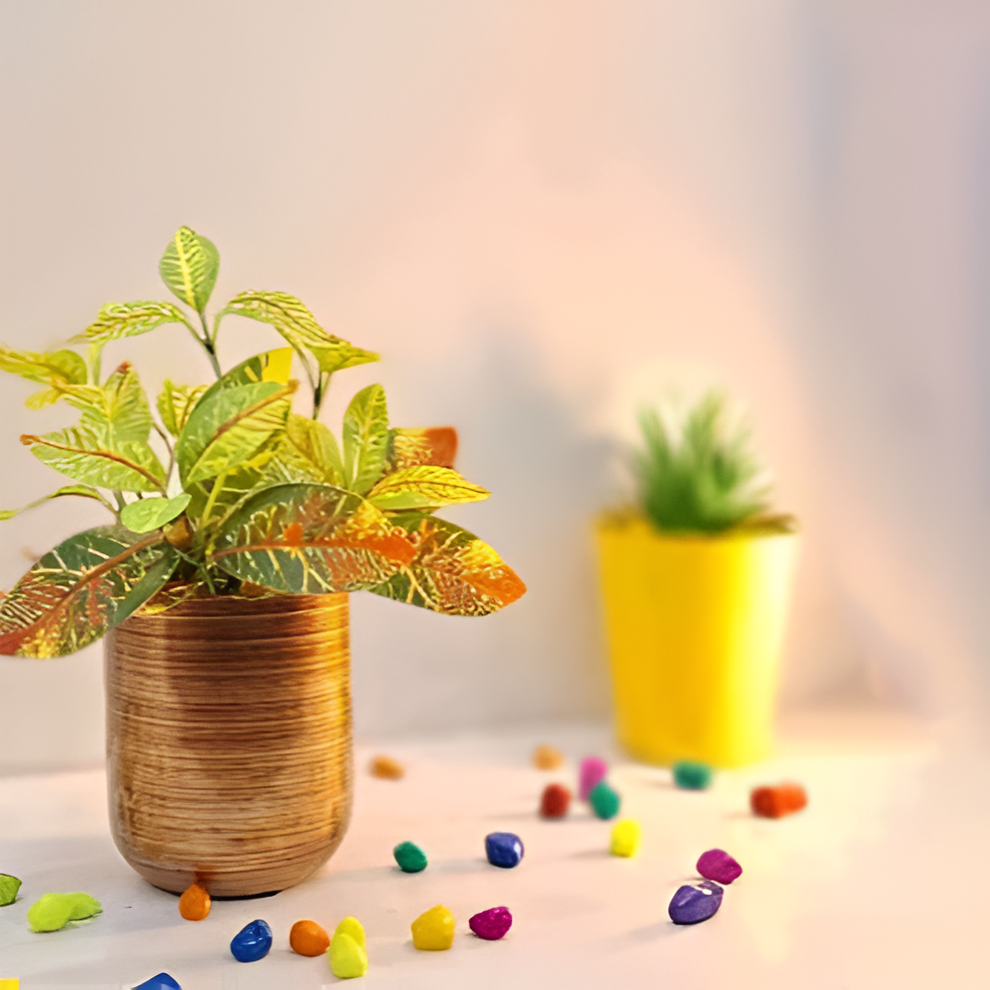 Classic Metal Pot – Gold, Black, Copper & Dual Finish