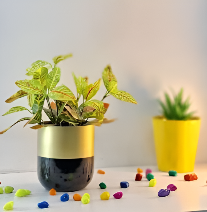 Classic Metal Pot – Gold, Black, Copper & Dual Finish