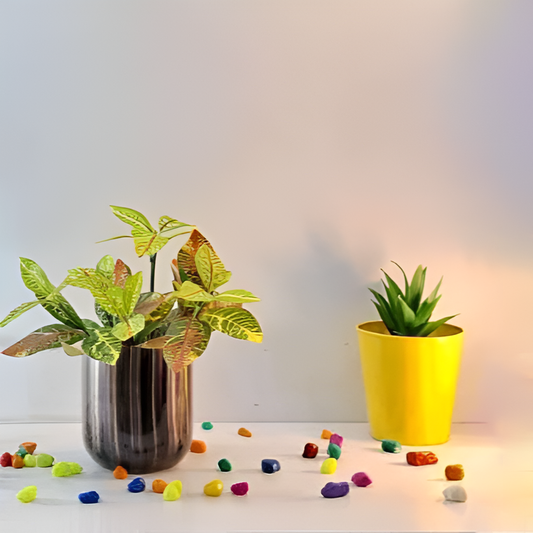 Classic Metal Pot – Gold, Black, Copper & Dual Finish