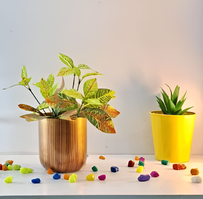 Classic Metal Pot – Gold, Black, Copper & Dual Finish