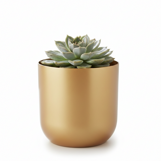 Classic Metal Pot – Gold, Black, Copper & Dual Finish