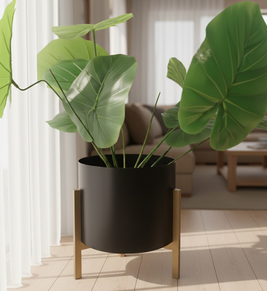 Potted plant in a modern living room with a neutral color palette