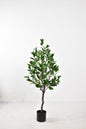 Artificial Laurel Plant – 47″ Faux Green Laurel Tree for Elegant Home And Office Decor