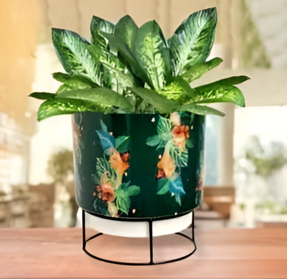 Printed Metal Planter with Circular Black Stand