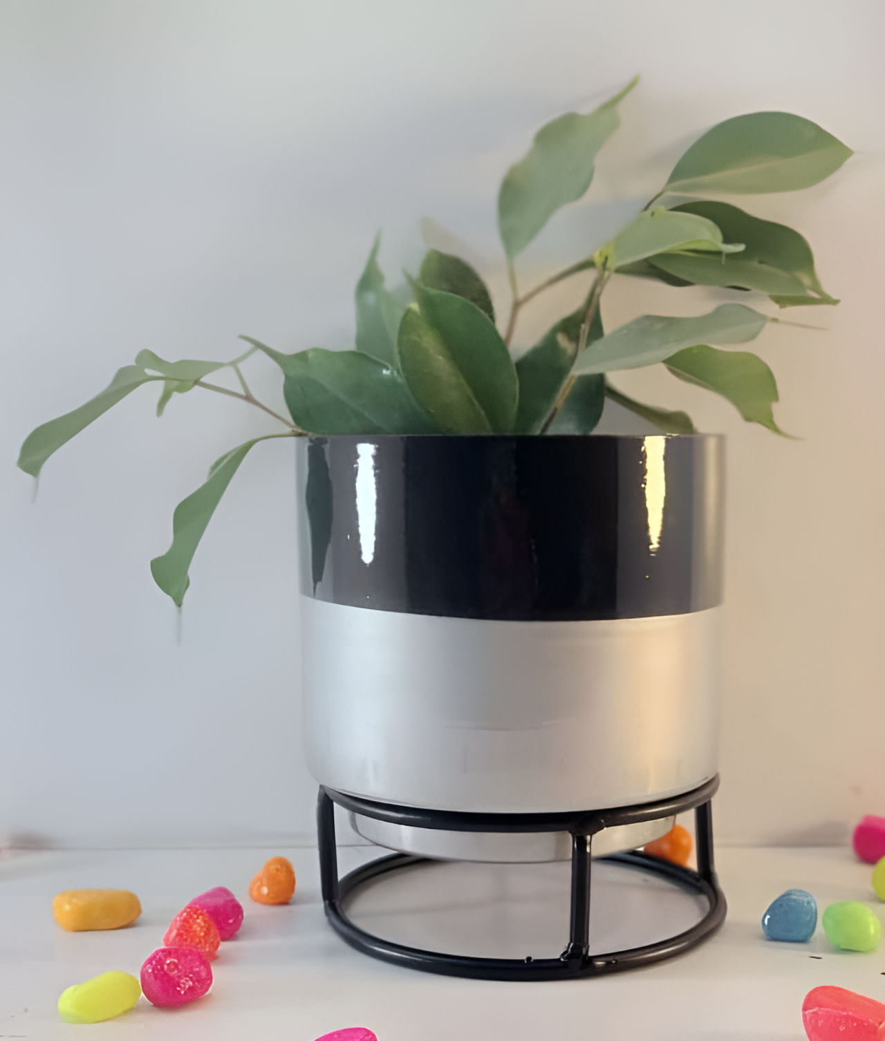 Printed Metal Planter with Circular Black Stand