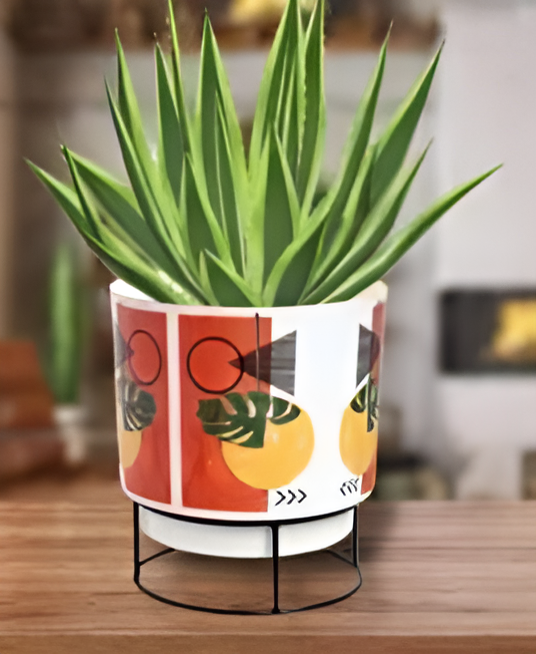 Printed Metal Planter with Circular Black Stand