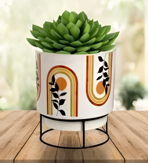 Printed Metal Planter with Circular Black Stand