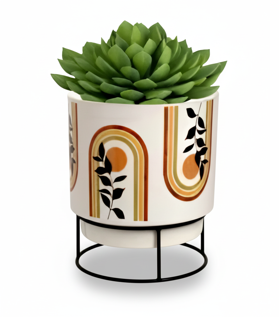 Decorative planter with succulent on a white background
