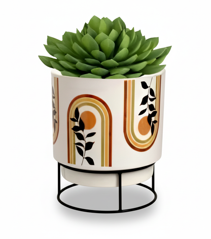 Decorative planter with succulent on a white background