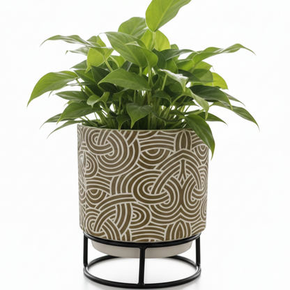 Printed Metal Planter with Circular Black Stand