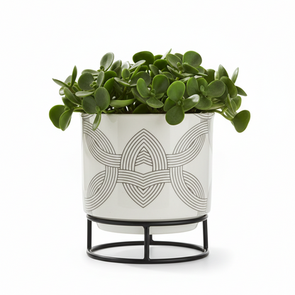 Printed Metal Planter with Circular Black Stand