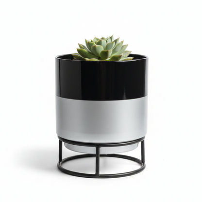 Printed Metal Planter with Circular Black Stand