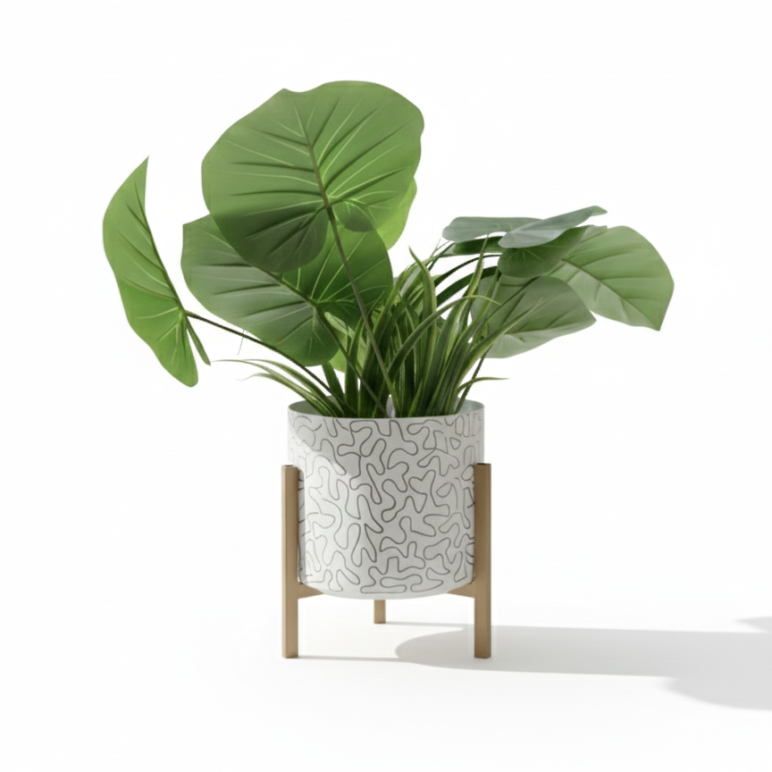 Green potted plant in a decorative pot on a white background