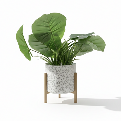 Green potted plant in a decorative pot on a white background