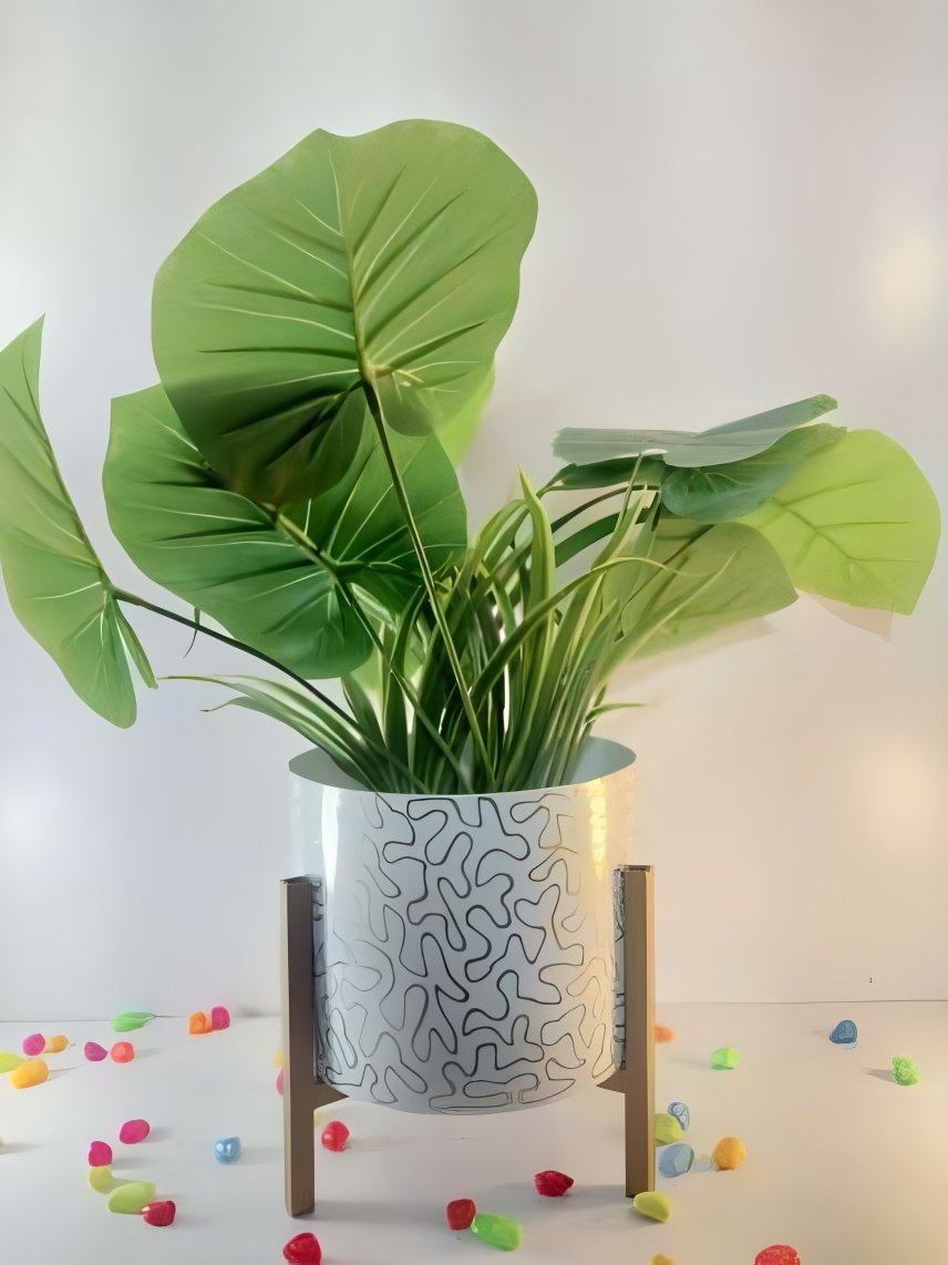 Printed Metal Pot with Wooden Stand – Multicolor Variants
