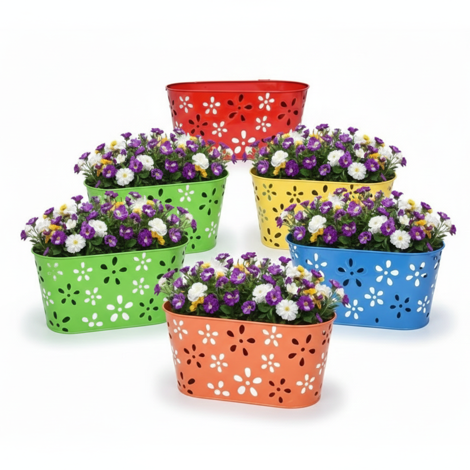 Set of colorful metal planters with flowers on a white background