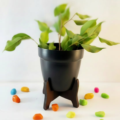 Decorative Metal Pot with Wooden Stand – Minimalist Indoor Planter
