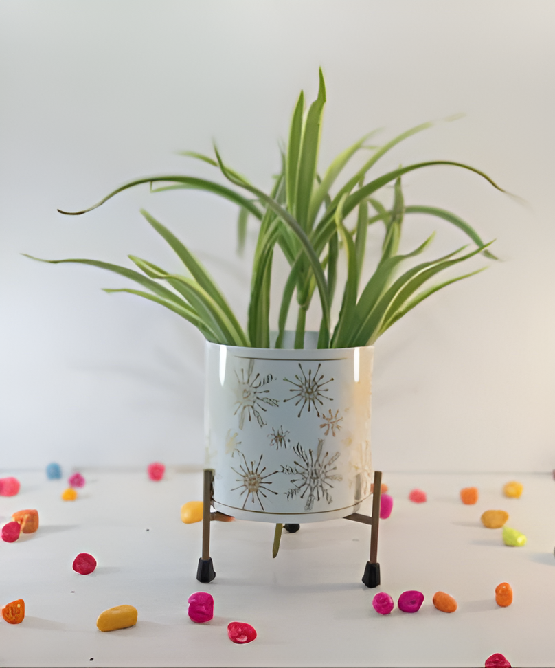 Metal Planter with Tripod Stand
