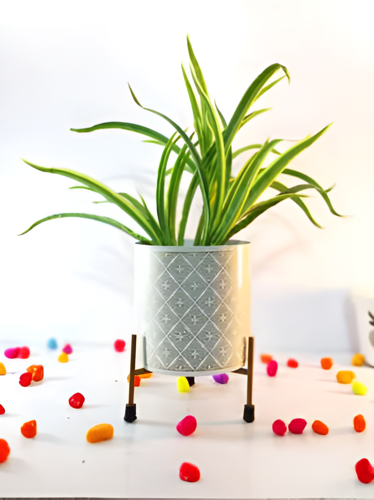 Metal Planter with Tripod Stand