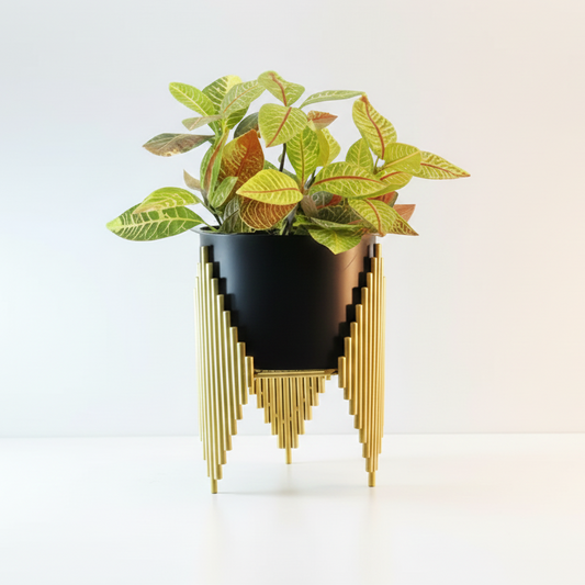 Modern black planter with gold geometric design on a white background