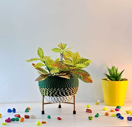 Elevated Round Iron Planter with Stand