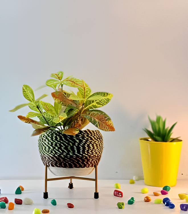 Elevated Round Iron Planter with Stand