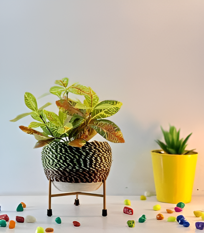 Elevated Round Iron Planter with Stand