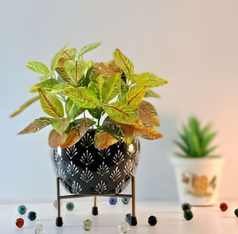 Elevated Round Iron Planter with Stand