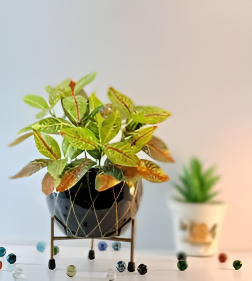 Elevated Round Iron Planter with Stand