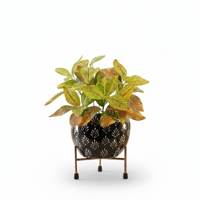 Potted plant on a stand with a decorative black pot on a white background
