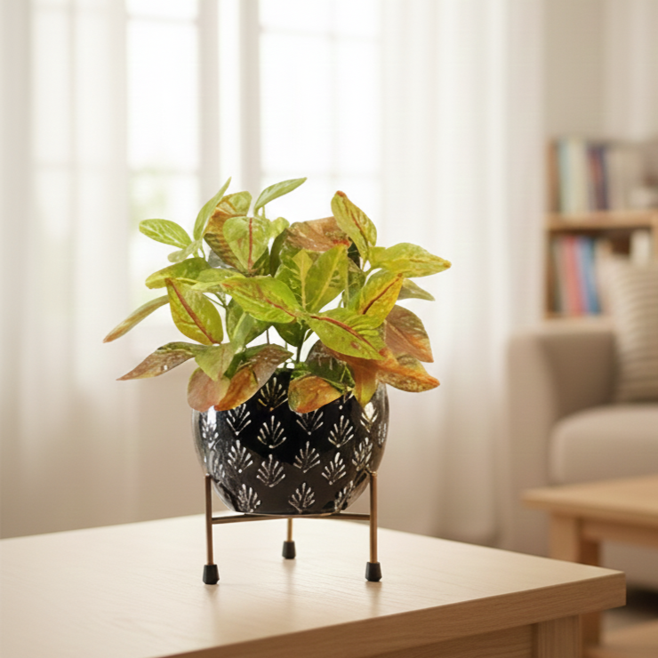 Potted plant on a table with a blurred background