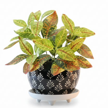 Elevated Round Iron Planter with Stand