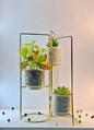 3-Tier Geometric Planter Stand with Gold Frame